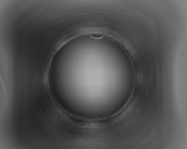 X0000101681521200807101411