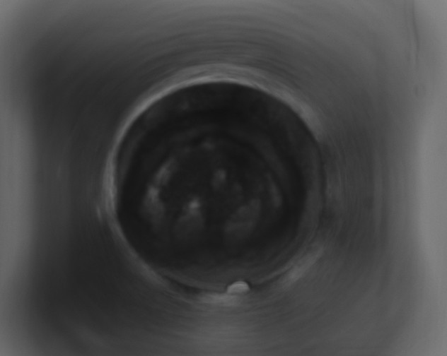 X0000101681522200807101411