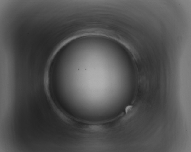 X0000101681523200807101411