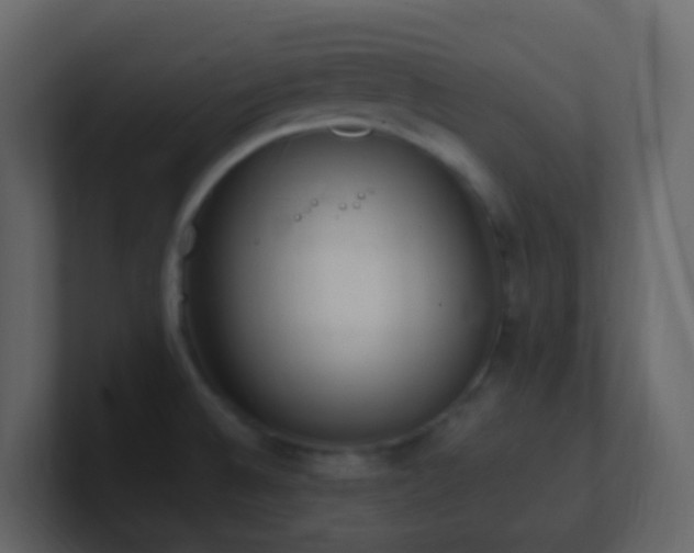 X0000101681524200807101411