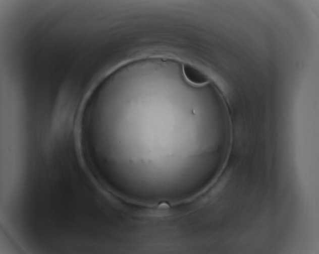 X0000101681525200807101411