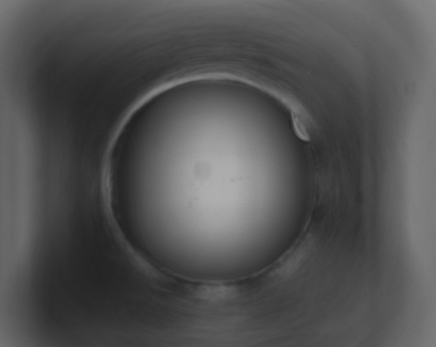 X0000101681526200807101411