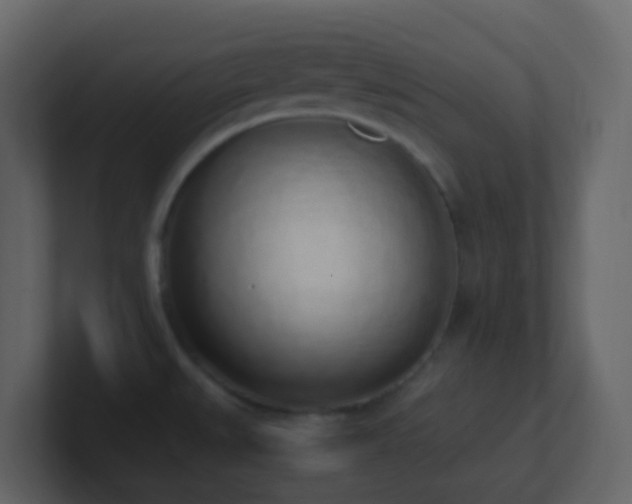 X0000101681527200807101411