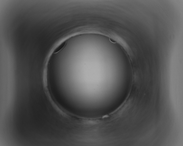 X0000101681528200807101411