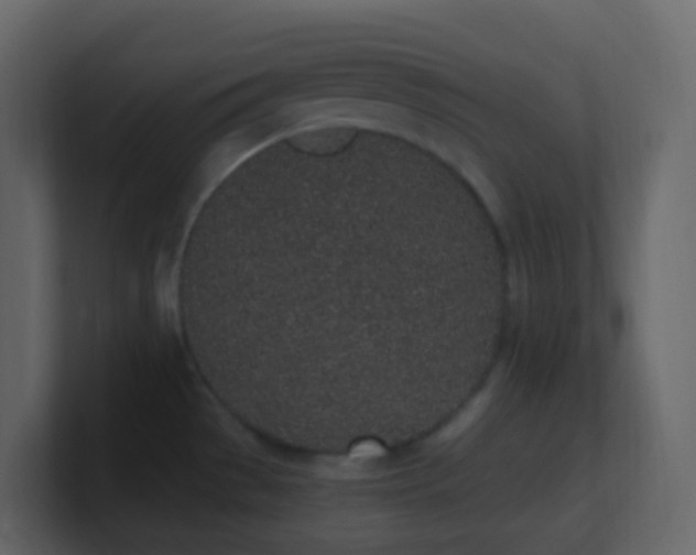 X0000101681529200807101411