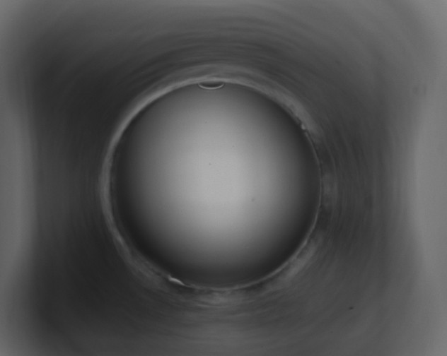 X0000101681530200807101411