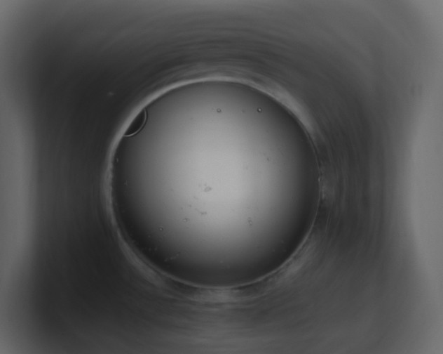 X0000101681532200807101411