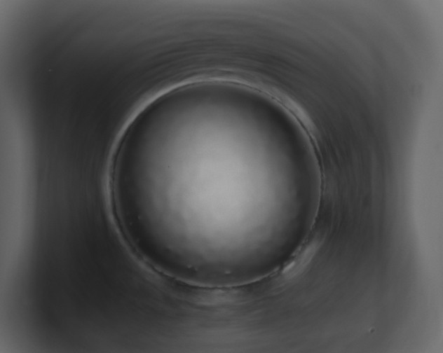 X0000101681533200807101411