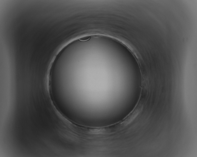 X0000101681535200807101411