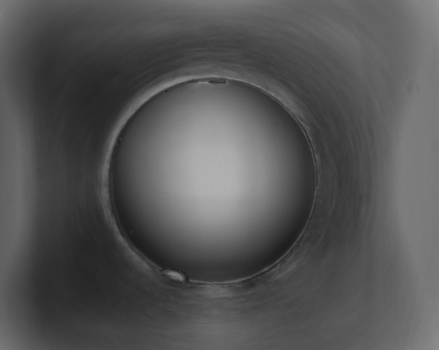 X0000101681536200807101411