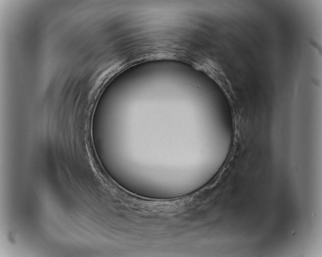 X0000101680001200807171423