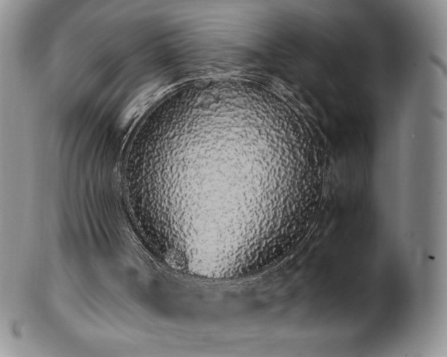 X0000101680002200807171423