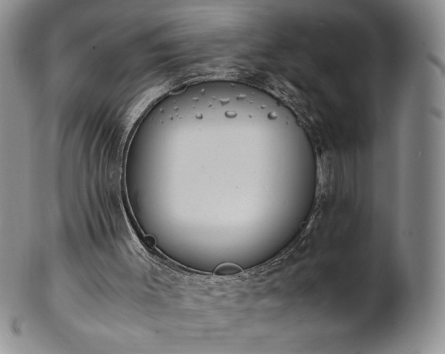 X0000101680003200807171423