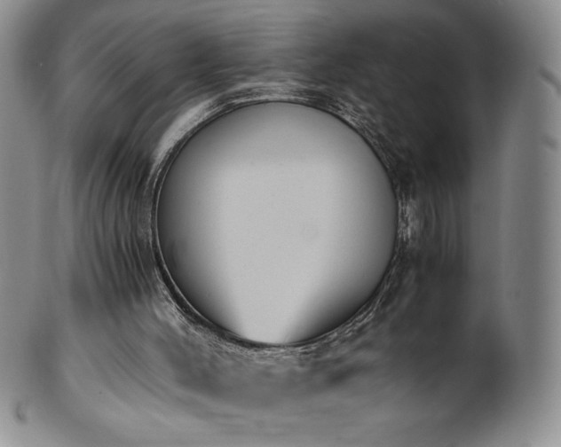 X0000101680004200807171423