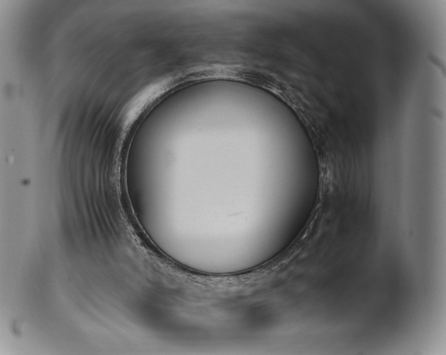 X0000101680006200807171423