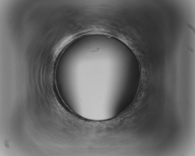 X0000101680007200807171423