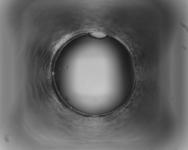 X0000101680008200807171423