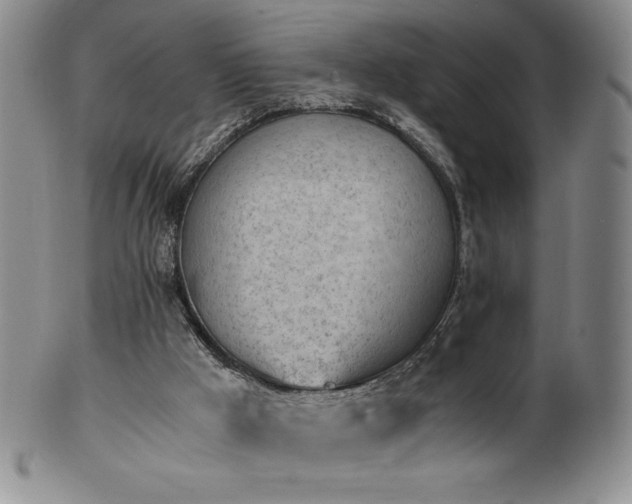 X0000101680009200807171423