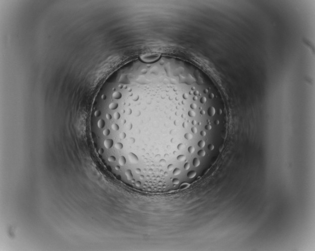 X0000101680010200807171423