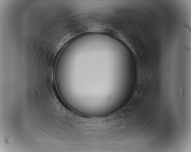 X0000101680011200807171423