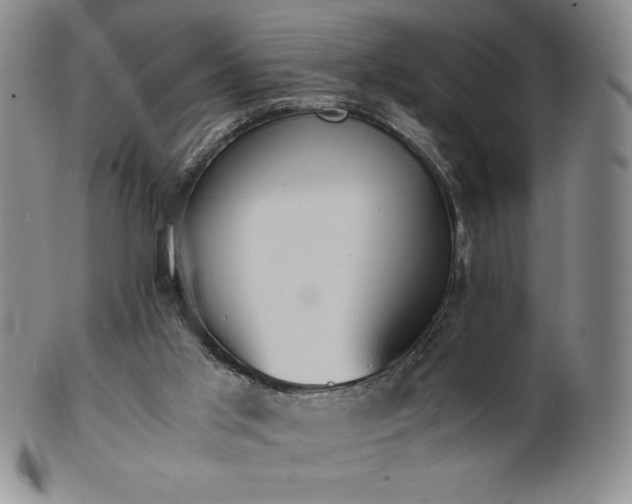 X0000101680013200807171423