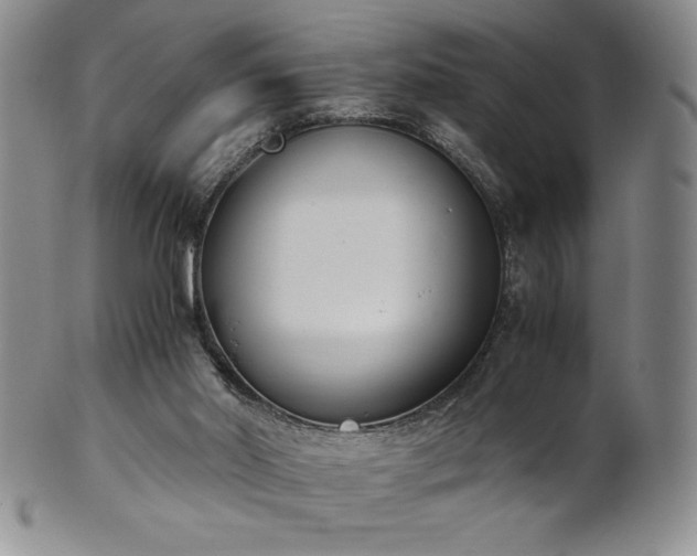 X0000101680014200807171423