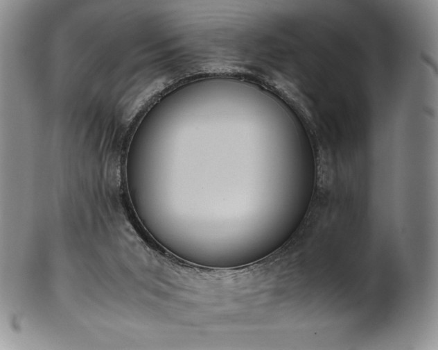 X0000101680015200807171423