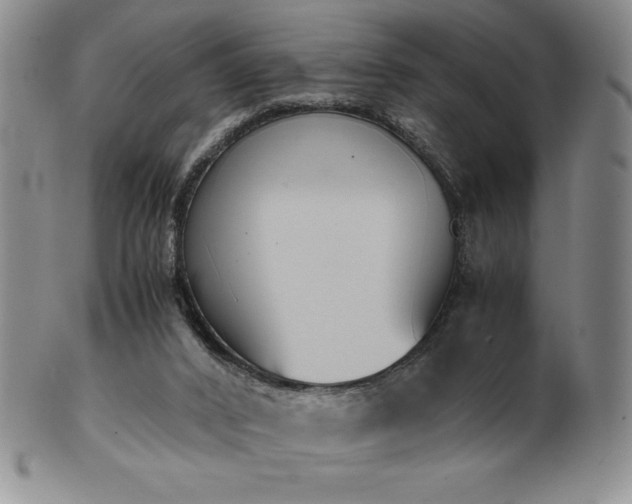 X0000101680016200807171423