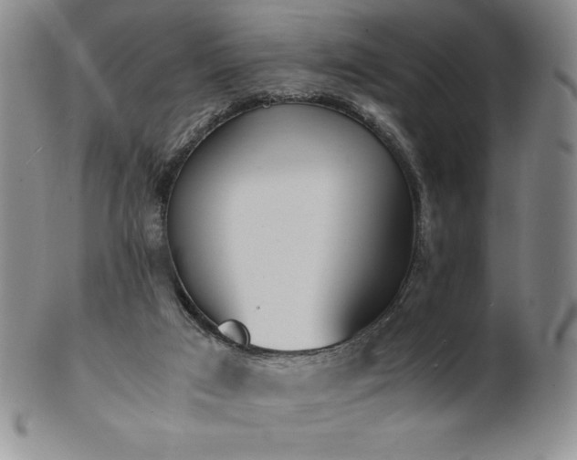 X0000101680017200807171423