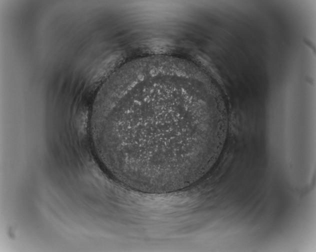 X0000101680018200807171423