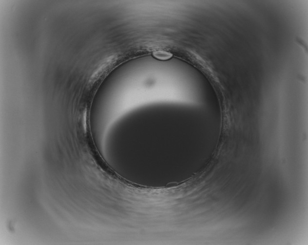 X0000101680019200807171423