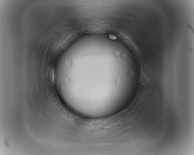 X0000101680021200807171423