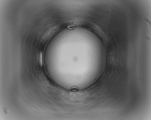 X0000101680022200807171423