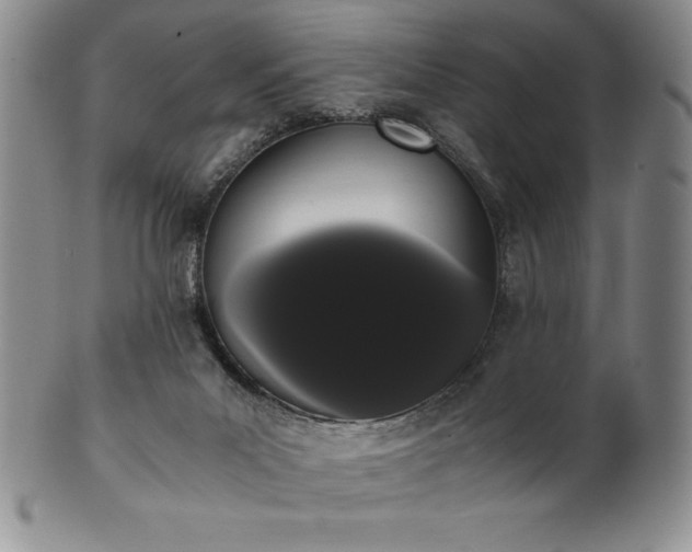 X0000101680023200807171423