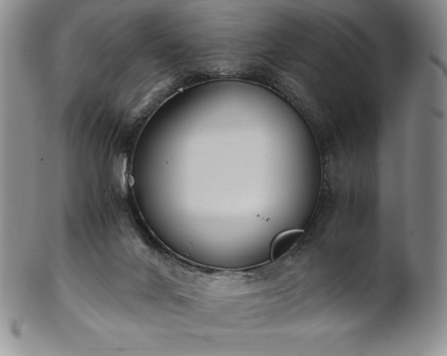 X0000101680024200807171423