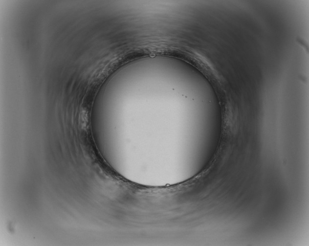 X0000101680025200807171423