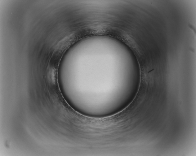 X0000101680026200807171422