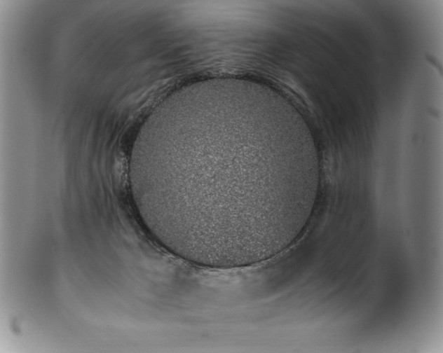 X0000101680029200807171422