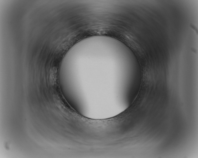 X0000101680030200807171422