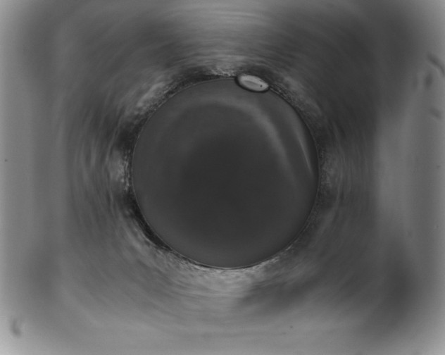 X0000101680031200807171422