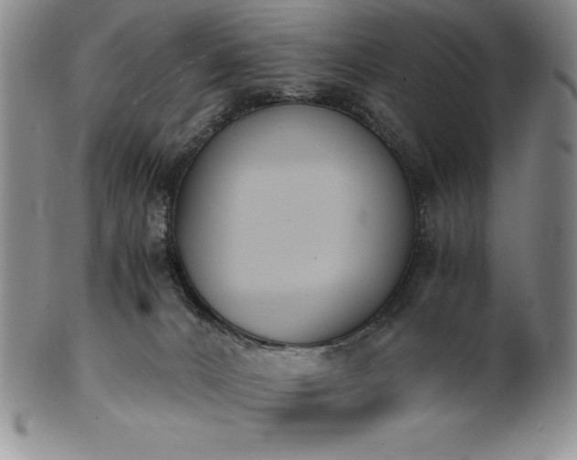 X0000101680032200807171422