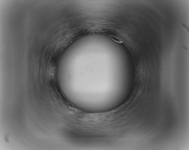 X0000101680033200807171422