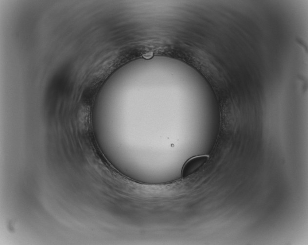 X0000101680034200807171422