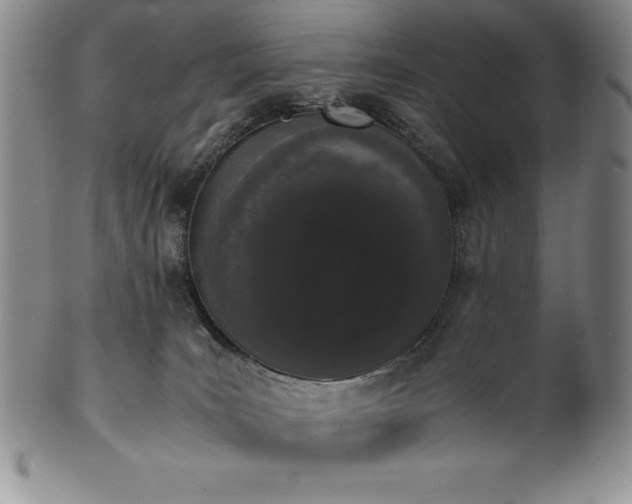 X0000101680035200807171422