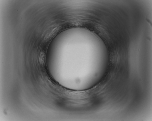 X0000101680036200807171422