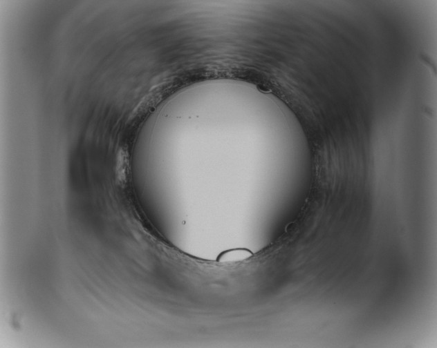 X0000101680038200807171422