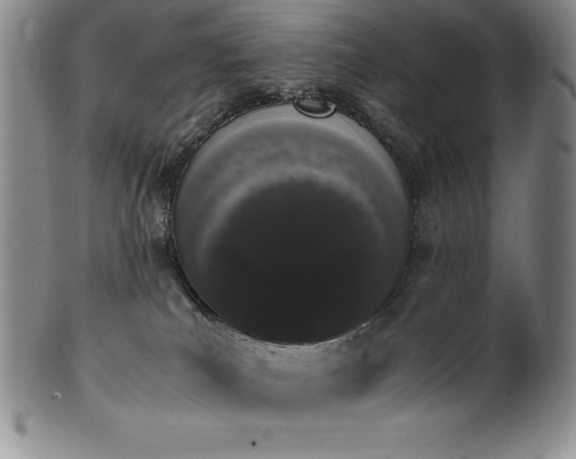 X0000101680039200807171422