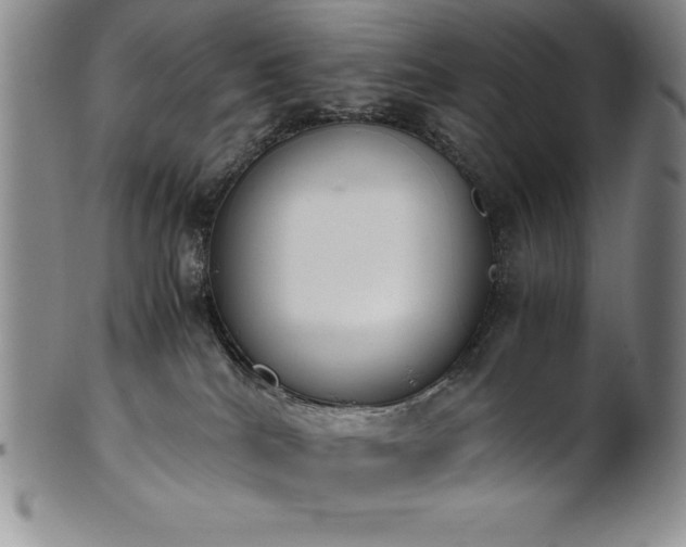 X0000101680040200807171422