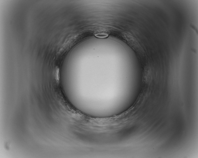 X0000101680041200807171422