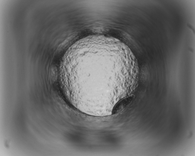 X0000101680043200807171422